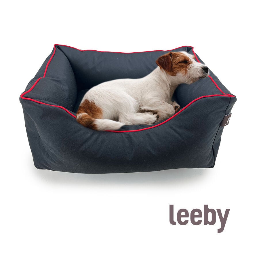 Leeby Cuna Impermeable Anti Pelos Negro para perros, , large image number null